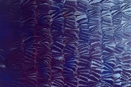 Schist Murmurs